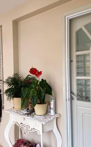 Casa à venda com 307m², 3 quartos e 6 vagas