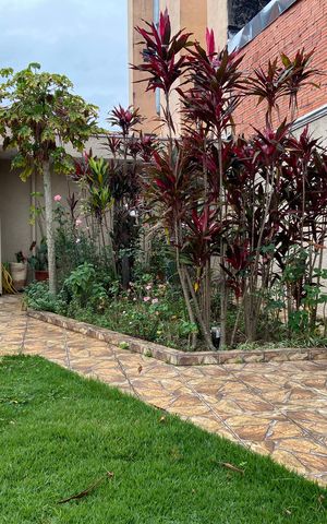 Casa à venda com 307m², 3 quartos e 6 vagas