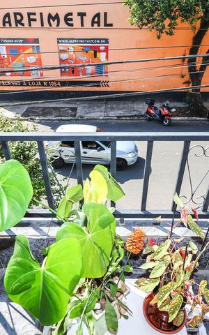 Casa para alugar com 179m², 3 quartos e 2 vagasSacada