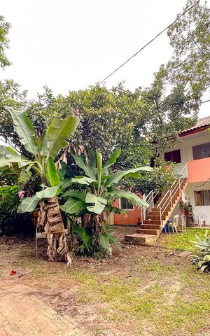 Apartamento para alugar com 45m², 1 quarto e 1 vagaVista da Rua