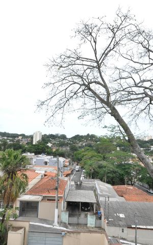 Apartamento à venda com 52m², 2 quartos e 1 vagaVista do Quarto 1