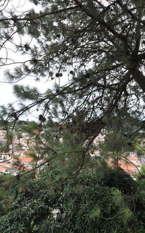 Apartamento à venda com 52m², 2 quartos e 1 vagaVista do Quarto 2