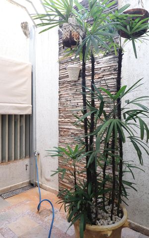 Casa para alugar com 211m², 3 quartos e 2 vagasQuarto 3 - Suíte