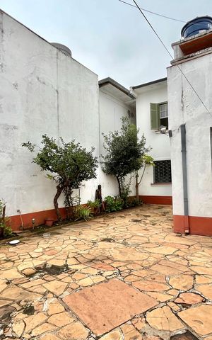 Casa para alugar com 300m², 3 quartos e 2 vagasQuintal
