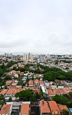 Apartamento para alugar com 55m², 2 quartos e 1 vagaVista