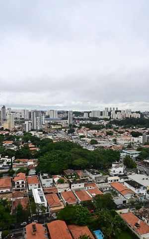 Apartamento para alugar com 55m², 2 quartos e 1 vagaVista da Suíte