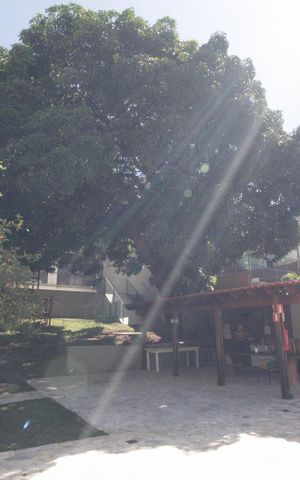 Apartamento à venda com 240m², 4 quartos e 2 vagasÁrea Comum - Churrasqueira