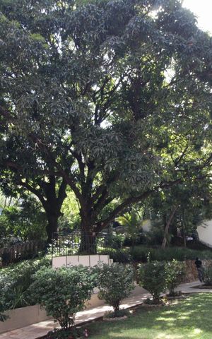 Apartamento à venda com 240m², 4 quartos e 2 vagasÁrea Comum