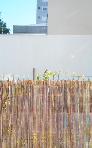 Apartamento à venda com 72m², 3 quartos e 1 vagaVista do Quarto 2