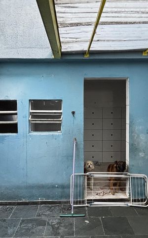 Casa para alugar com 70m², 2 quartos e sem vaga Casa para alugar com 70m², 2 quartos e sem vagaQuintal
