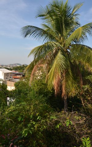 Casa à venda com 350m², 5 quartos e 8 vagasVista da Rua