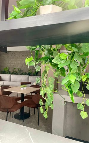 Apartamento para alugar com 65m², 2 quartos e 1 vaga Apartamento para alugar com 65m², 2 quartos e 1 vagaÁrea comum - Salão de festas