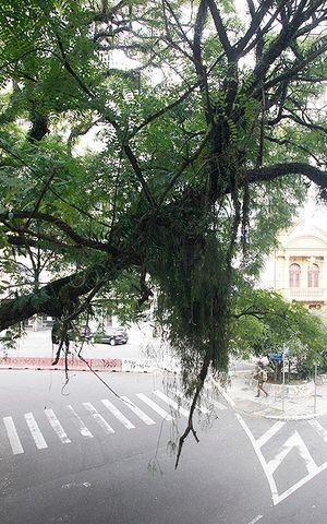 Apartamento à venda com 73m², 2 quartos e sem vagaQuarto 1 Vista