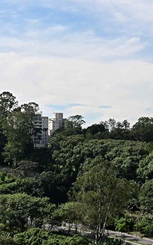 Apartamento para alugar com 62m², 3 quartos e 1 vagaVista do Quarto 2