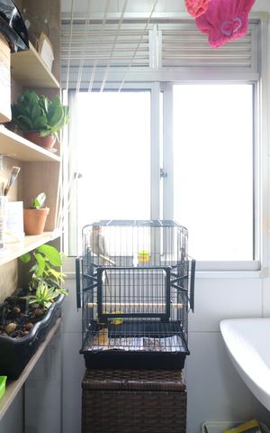 Apartamento à venda com 44m², 2 quartos e 1 vaga Apartamento à venda com 44m², 2 quartos e 1 vagaÁrea de Serviço