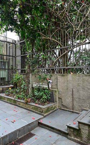 Casa à venda com 200m², 3 quartos e 3 vagasQuintal