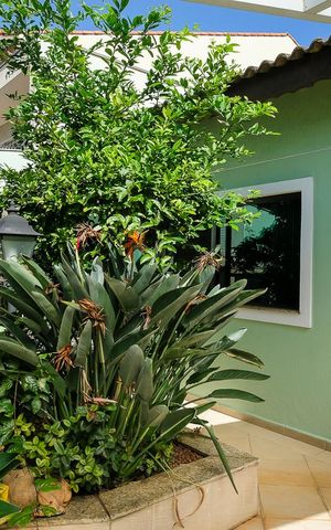 Casa para alugar com 396m², 4 quartos e 6 vagasEntrada