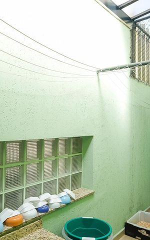 Casa para alugar com 396m², 4 quartos e 6 vagasÁrea de serviço