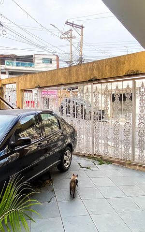 Casa à venda com 240m², 6 quartos e 3 vagas Casa à venda com 240m², 6 quartos e 3 vagasGaragem