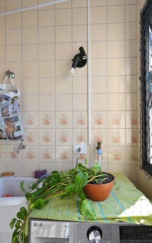 Apartamento à venda com 70m², 3 quartos e 1 vagaLavanderia