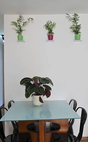 Apartamento à venda com 70m², 3 quartos e 1 vagaSala