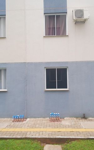 Apartamento para alugar com 48m², 2 quartos e 1 vagaVista do Quarto 2