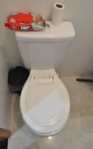 Apartamento para alugar com 52m², 2 quartos e sem vagaBanheiro do Quarto Suíte