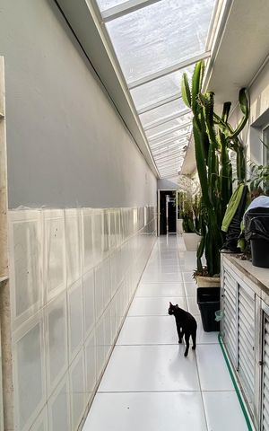 Casa à venda com 300m², 3 quartos e 2 vagas