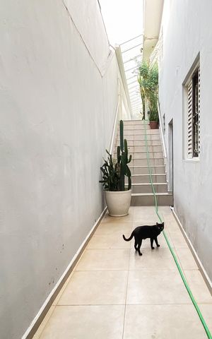 Casa à venda com 300m², 3 quartos e 2 vagas