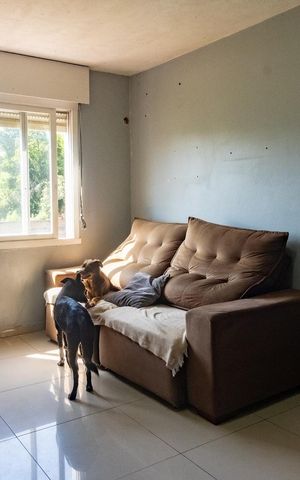 Apartamento à venda com 62m², 2 quartos e 1 vagaSala