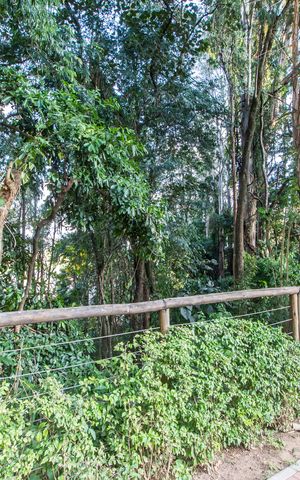 Apartamento à venda com 51m², 2 quartos e 1 vagaÁrea comum