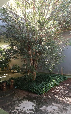 Casa para alugar com 340m², 5 quartos e 4 vagasJardim