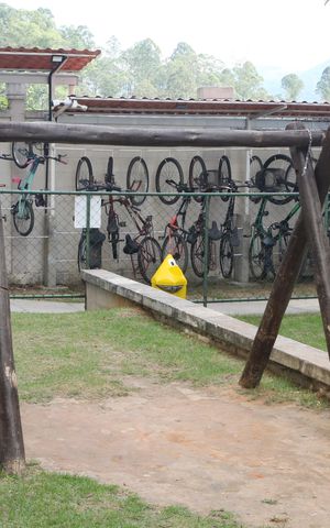 Apartamento para alugar com 50m², 2 quartos e sem vagabicicletario