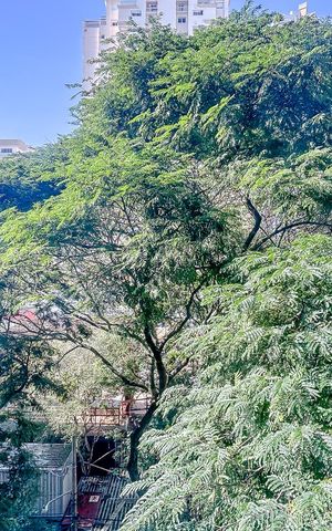 Apartamento para alugar com 40m², 1 quarto e sem vagaVista da Varanda