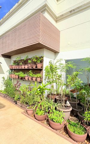 Apartamento à venda com 236m², 3 quartos e 3 vagas Apartamento à venda com 236m², 3 quartos e 3 vagasCobertura