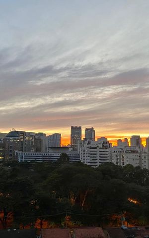 Apartamento à venda com 236m², 3 quartos e 3 vagas