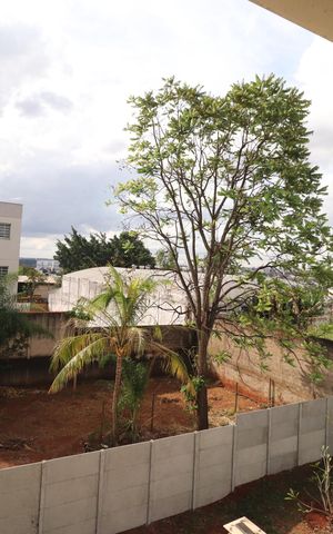 Casa para alugar com 400m², 4 quartos e 6 vagasVista