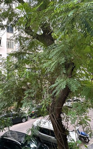 Apartamento para alugar com 56m², 1 quarto e sem vaga