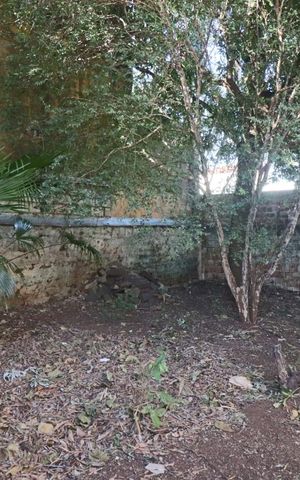 Casa para alugar com 260m², 6 quartos e 3 vagas Casa para alugar com 260m², 6 quartos e 3 vagasQuintal
