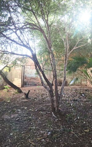 Casa para alugar com 260m², 6 quartos e 3 vagas Casa para alugar com 260m², 6 quartos e 3 vagasQuintal