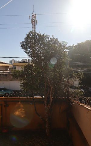 Casa para alugar com 260m², 6 quartos e 3 vagas Casa para alugar com 260m², 6 quartos e 3 vagasVista do Quarto 3