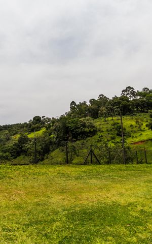 Casa de condomínio à venda com 227m², 2 quartos e 2 vagas Casa de condomínio à venda com 227m², 2 quartos e 2 vagasÁrea comum