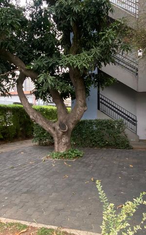 Apartamento para alugar com 48m², 2 quartos e 1 vaga Apartamento para alugar com 48m², 2 quartos e 1 vagaÁrea externa