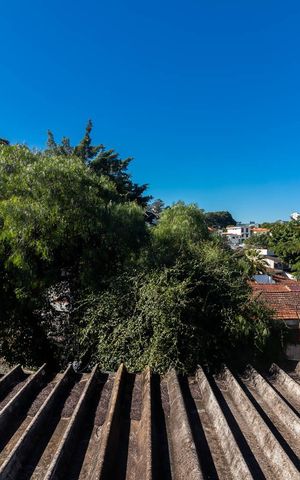 Casa para alugar com 290m², 3 quartos e 4 vagasSala - Vista