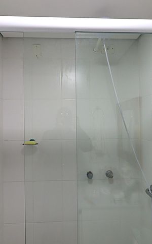 Apartamento à venda com 48m², 2 quartos e 1 vagaBanheiro 