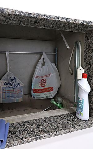 Apartamento à venda com 48m², 2 quartos e 1 vagaCozinha - churrasqueira