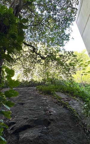 Apartamento à venda com 220m², 3 quartos e sem vaga