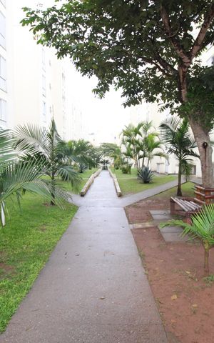 Apartamento para alugar com 45m², 2 quartos e sem vagaÁrea Comum