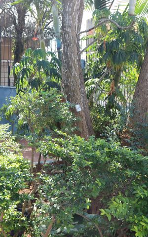Casa à venda com 110m², 4 quartos e 2 vagasÁrea externa