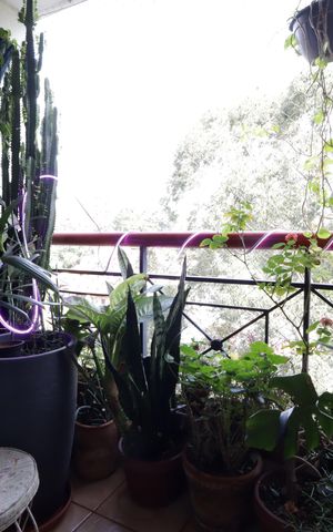 Apartamento à venda com 80m², 3 quartos e 2 vagasVaranda da Sala
